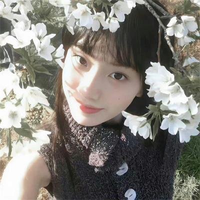 戈德堡一家第七季